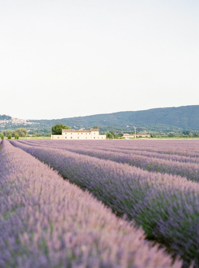 Un mariage romantique dans les champs de lavande en Provence - Capucine Atelier Floral - Fleuriste de pmariage fine art en Provence