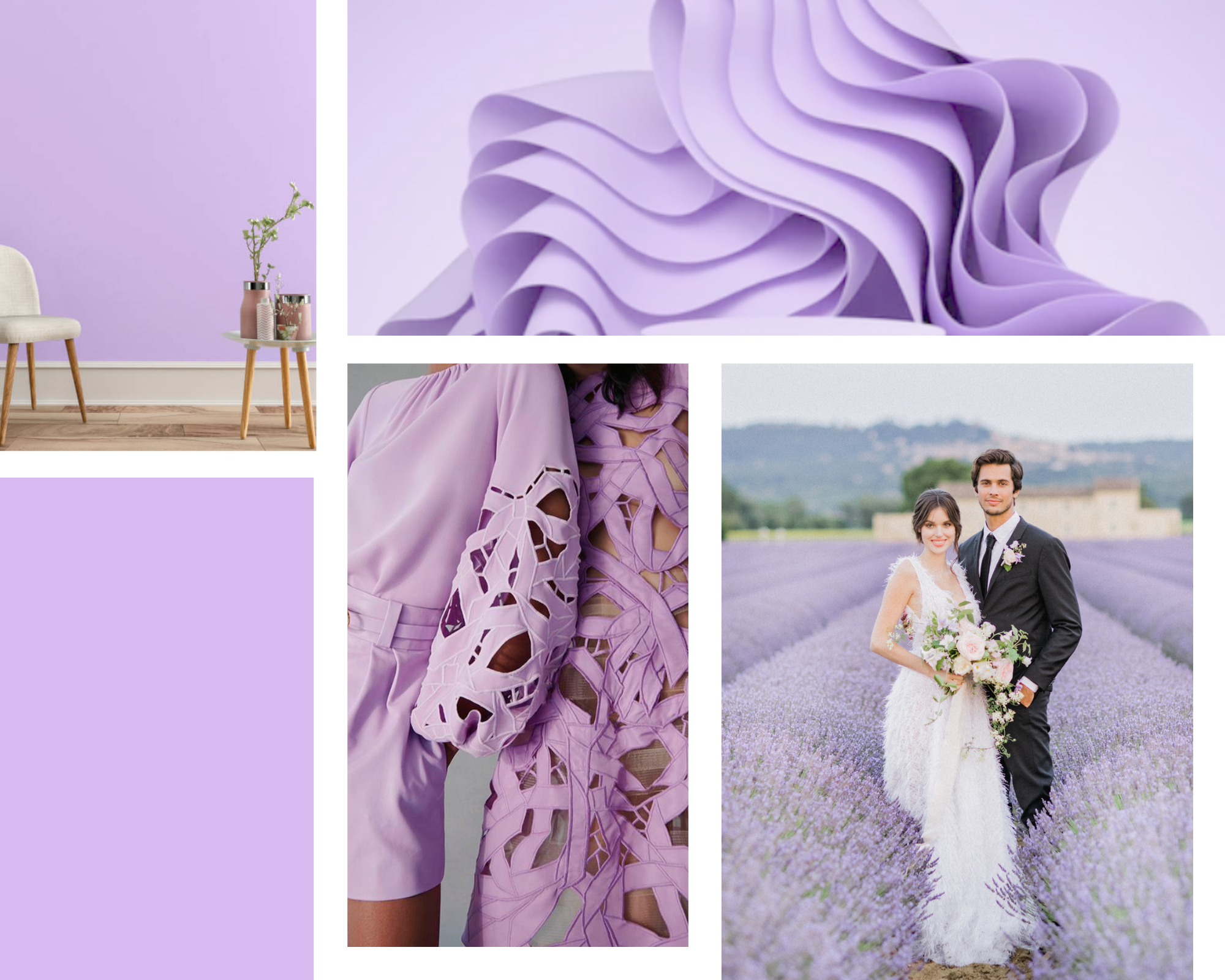 couleur tendance florale lavender